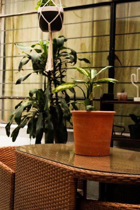 New Mex Inspired Bo-Ho Chic Apartment With Private Patio And Roof Terrace Mexico Extérieur photo