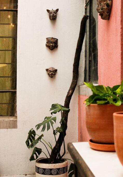 New Mex Inspired Bo-Ho Chic Apartment With Private Patio And Roof Terrace Mexico Extérieur photo